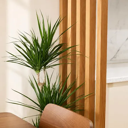 Luxury Urban Appartement